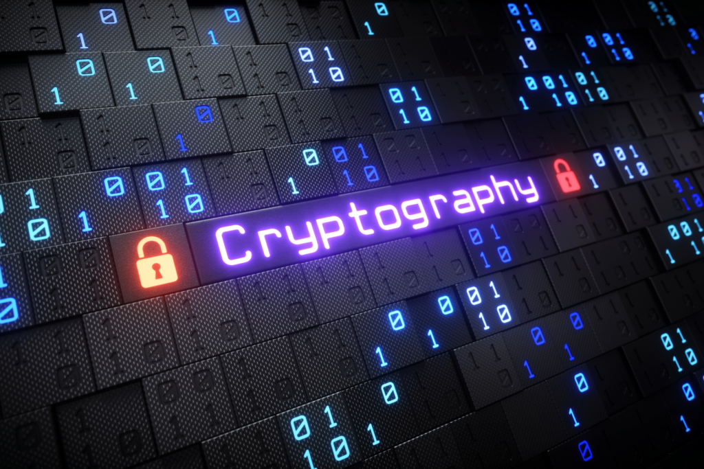 95-1024x683 Kategoriler